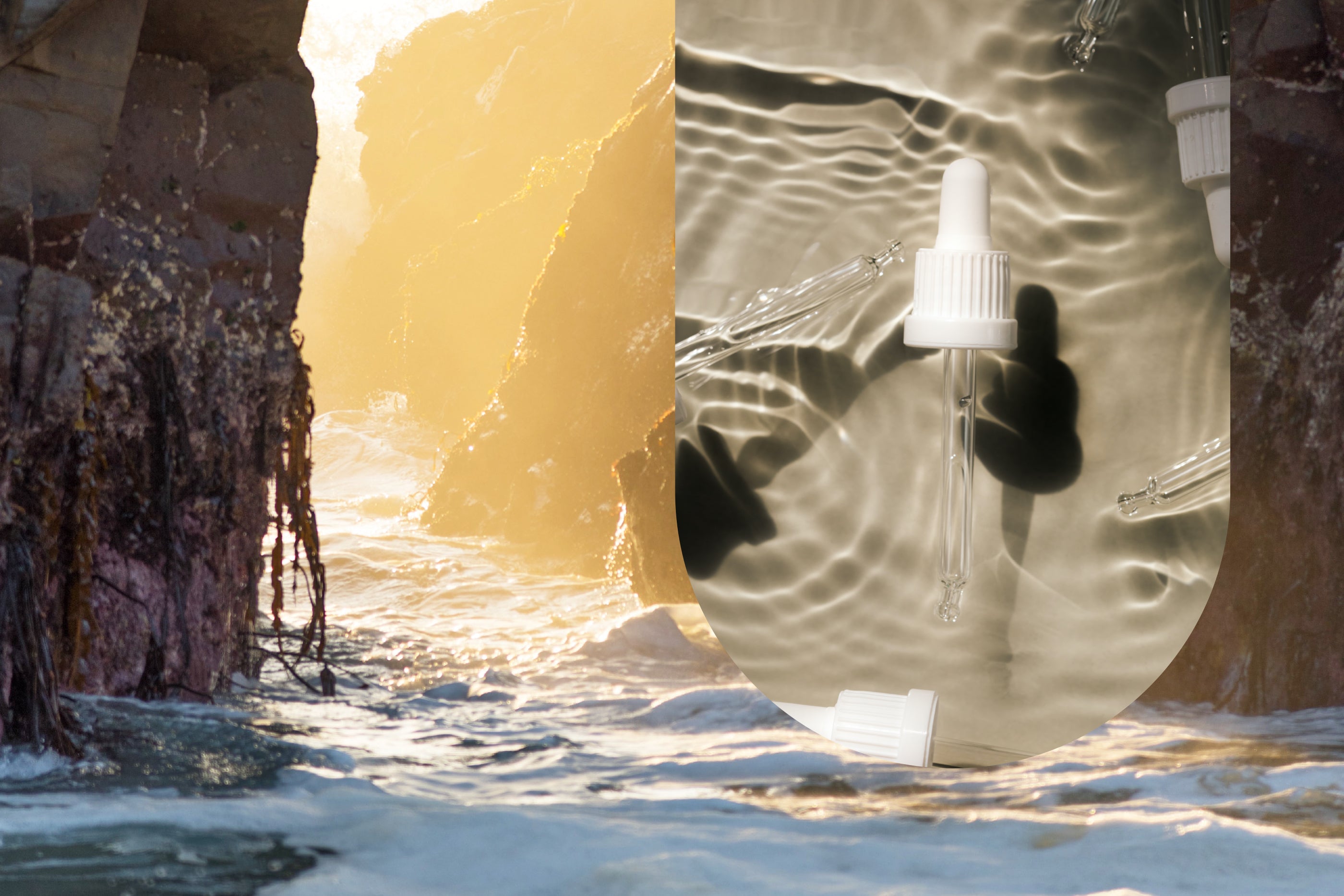 Dr. Myers' Secret to Longevity